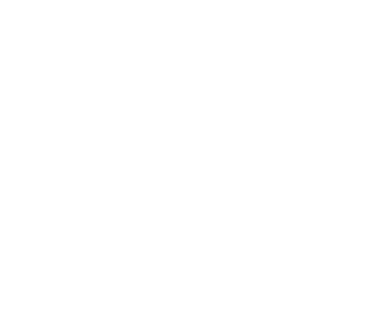 Bellatrix Logo